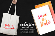 Cotasia swashes Wedding font, a Handwritten Font by supfonts (Thumbnail 6 of 9)