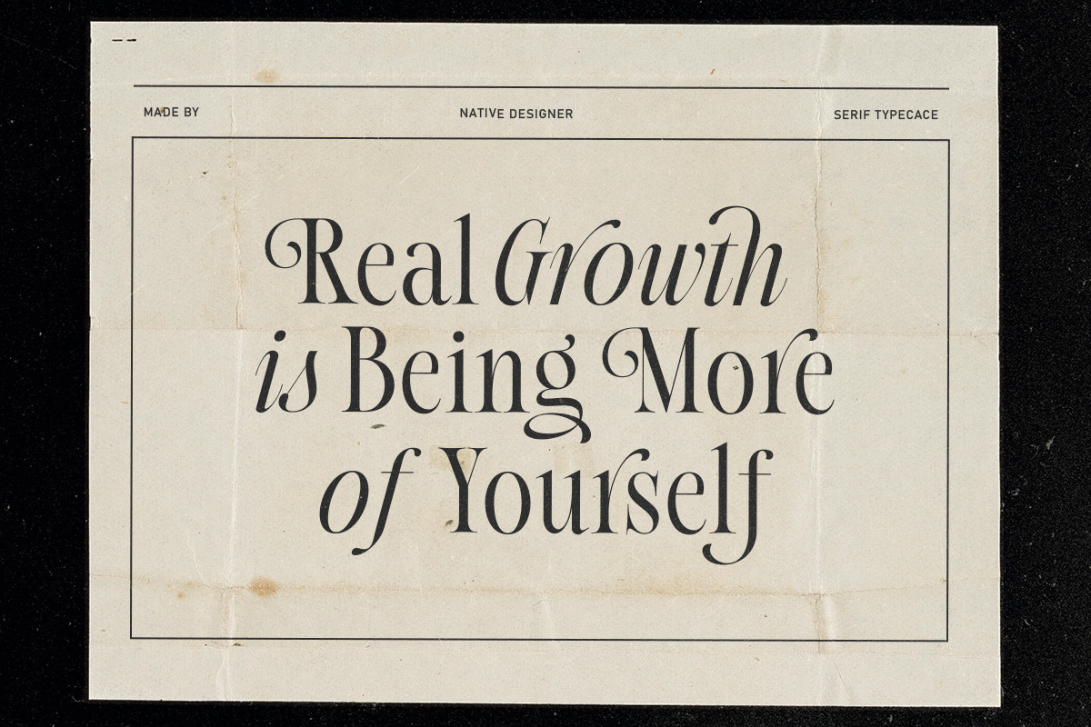 Native Designer - Delicate Serif, a Serif Font by Sarid Ezra (Photo 6 of 9)