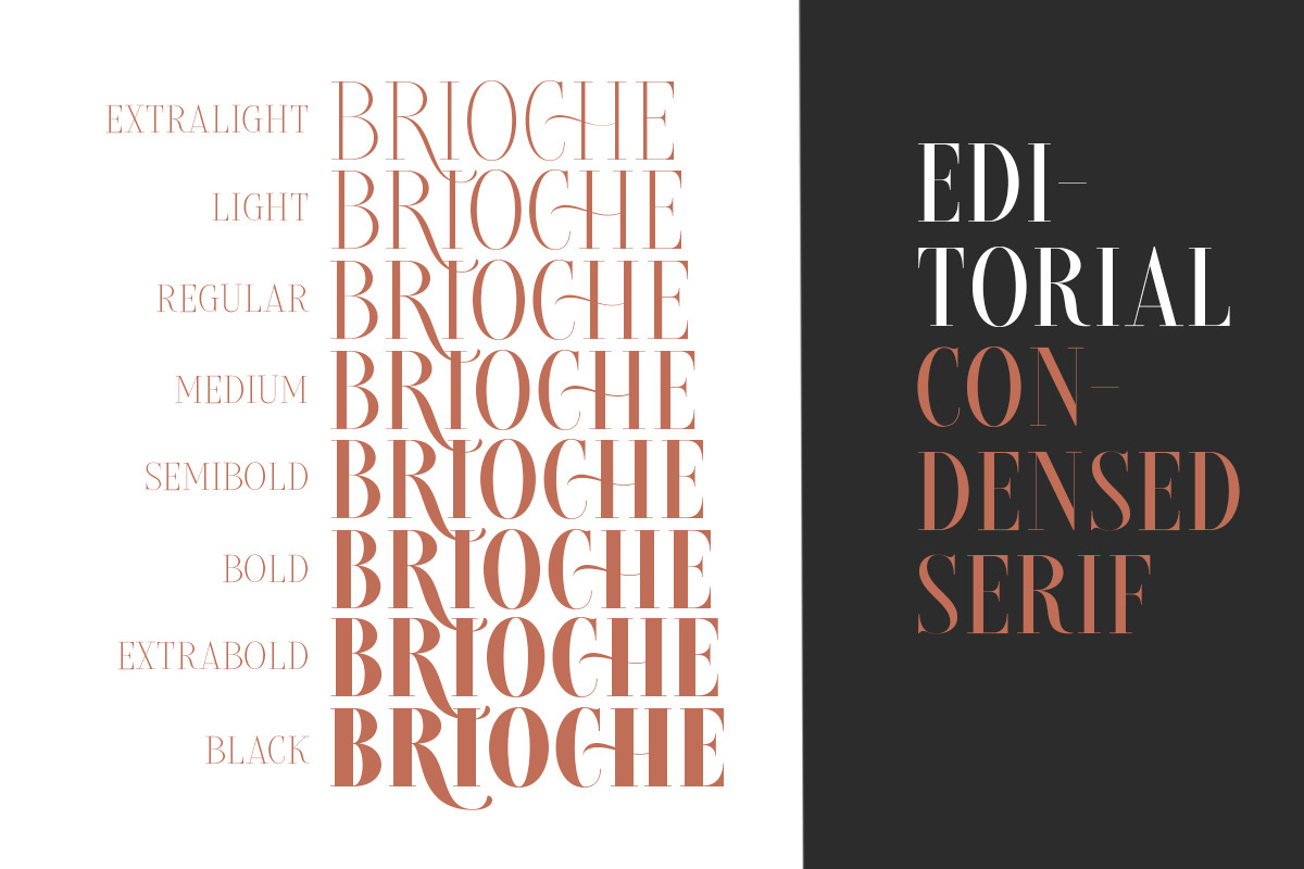 Brioche Family (70% OFF) preview 2