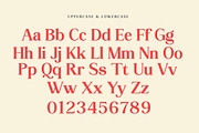 Reding, a Serif Font by Mantype Studio (Thumbnail 14 of 14)