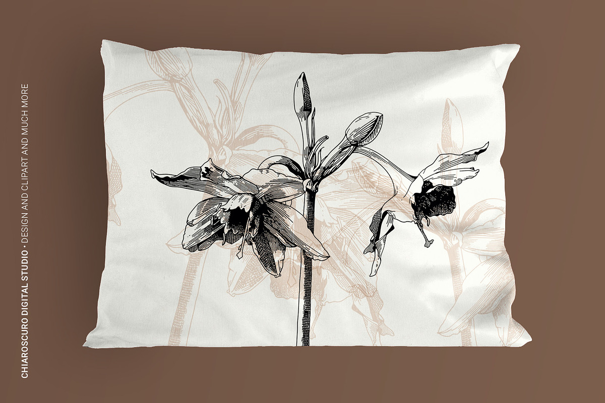 Vintage Botanical Vector Set, a Decorative Illustration by Pingebat (Photo 10 of 18)