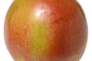 Round, ripe apple with a smooth red and green skin, isolated bac, a Food & Drink Photo by ndanko