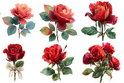 Valentines Rose Clipart, an Illustration by Designworld (Thumbnail 2 of 5)