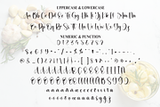 Aromatic | Script Font, a Handwritten Font by Scratchones (Thumbnail 7 of 8)