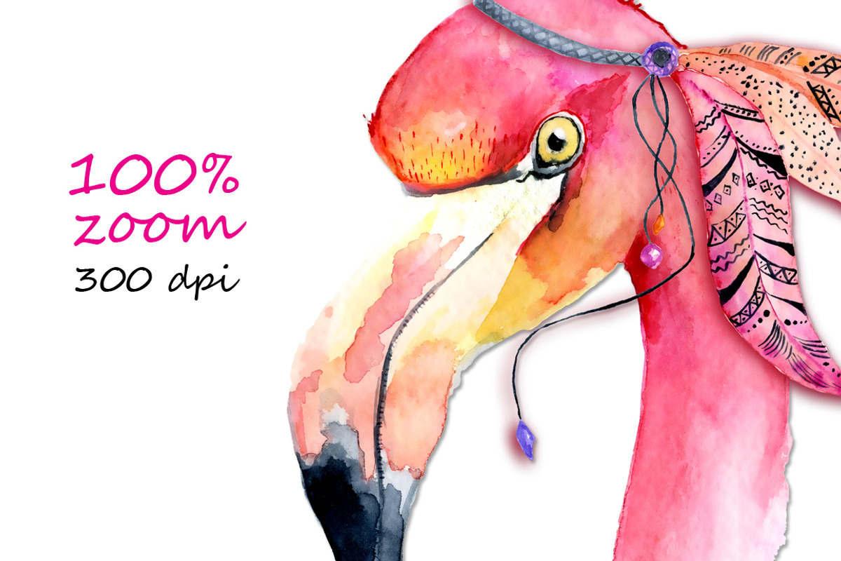 Boho flamingo Watercolor set, an Illustration by Evgeniia (Photo 4 of 10)