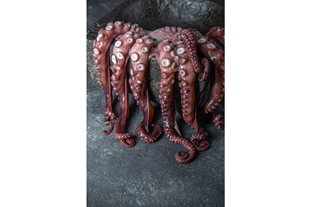 Raw octopus in black stone plate, a Food & Drink Photo by LARISA BLINOVA