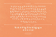 Velvet Mango – Retro Serif Font, a Serif Font by Krismagraph (Thumbnail 10 of 12)