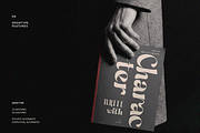 Mael – Luxury Editorial Serif, a Serif Font by FactoryType Studio (Thumbnail 9 of 11)