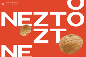 ZT Nezto | Sans Serif