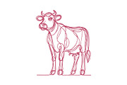 Cow Line Art Vector Illustration set, an Animal Illustration by MkStudio (Thumbnail 4 of 4)