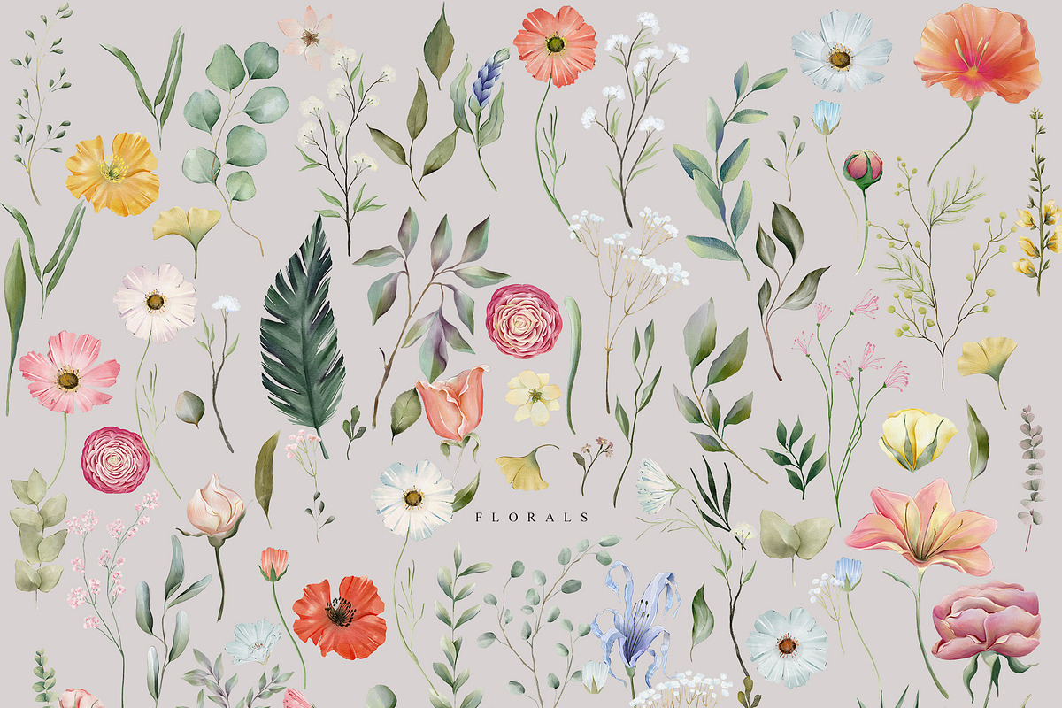 THE FLORIST Botanical Meadow Garden, a Decorative Illustration by January Bloom (Photo 22 of 26)