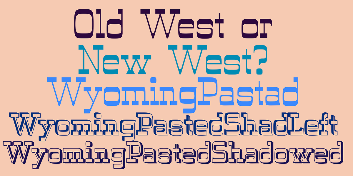 WyomingPastad, a Slab Serif Font by Ingrimayne Type (Photo 2 of 5)
