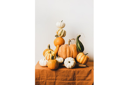 Colorful pumpkins in pyramid, a Food & Drink Photo by Foxys