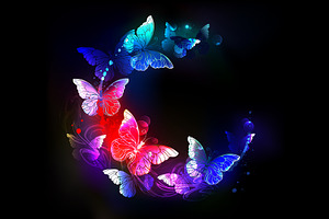 Neon Night Butterflies