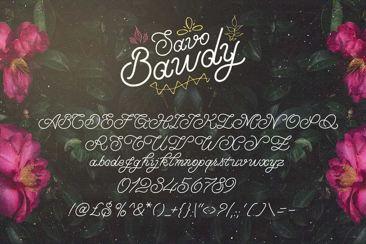 Savo Bawdy - Typeface preview 5