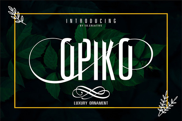Opiko preview 7