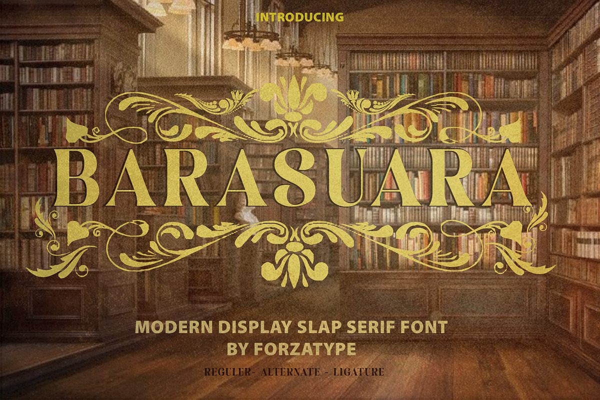 Barasuara Font Series | Forzatype, a Slab Serif Font by ForzaType (Photo 1 of 7)