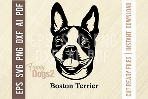 Boston Terrier - Funny Dog