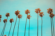 Brown-Aqua Lightroom Preset, a Preset Add-On by Lightroom Presets (Thumbnail 3 of 3)