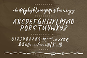 Samanthy Stylish Brush Script, a Script Font by Creatype Studio (Thumbnail 9 of 9)