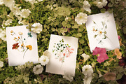 Watercolor Garden Flowers, a Decorative Illustration by Lisima (Thumbnail 23 of 25)
