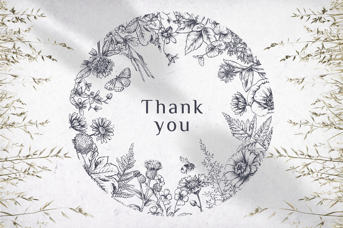 Wildflower Meadow Vector Set, a Decorative Illustration by Molly art (Photo 12 of 12)
