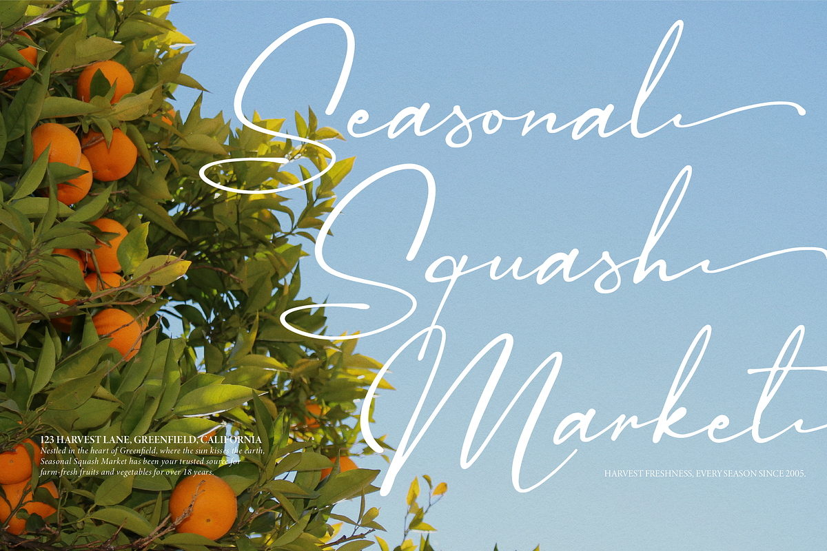 Sagara Amirenja | Classic Signature, a Script Font by Denustudios (Photo 2 of 12)