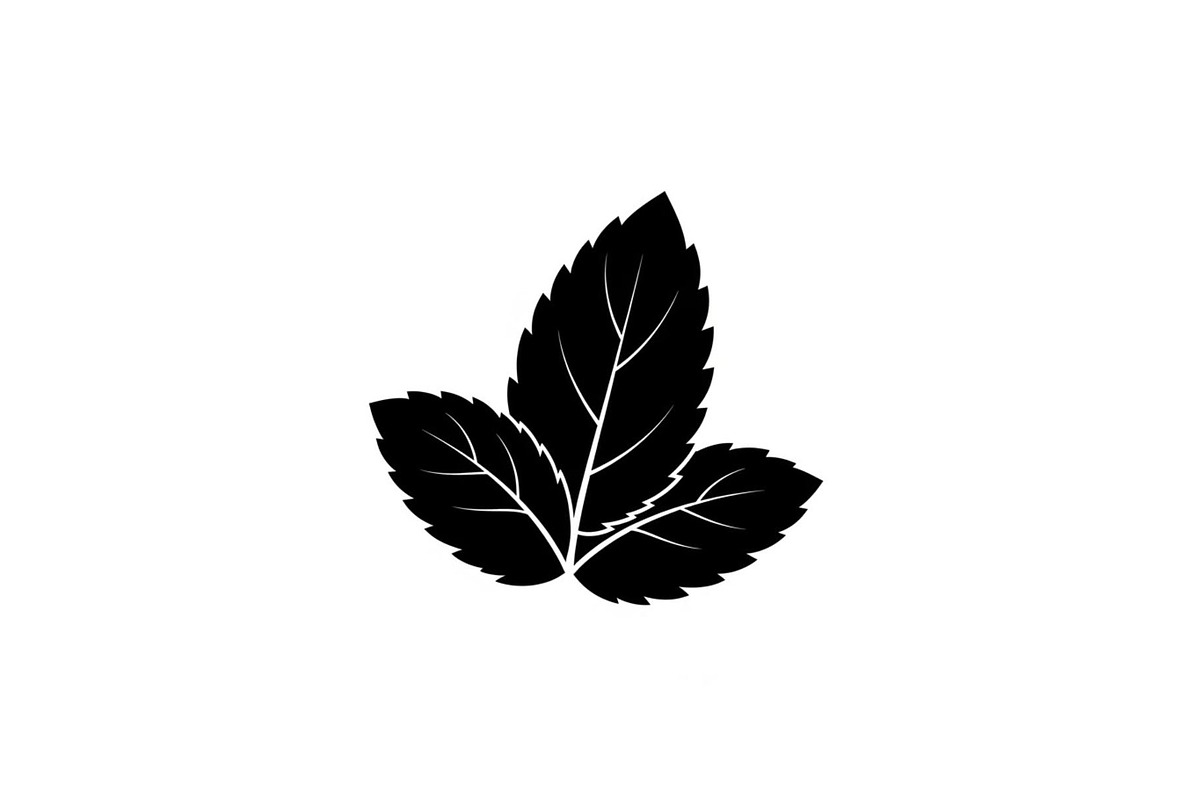 Floral Ornament Silhouette Bundle, an Illustration by BIPLOB EXPERT (Photo 36 of 51)