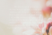 Hazy Botanical Vellum Backgrounds, a Graphic by DigitalDream (Thumbnail 9 of 9)