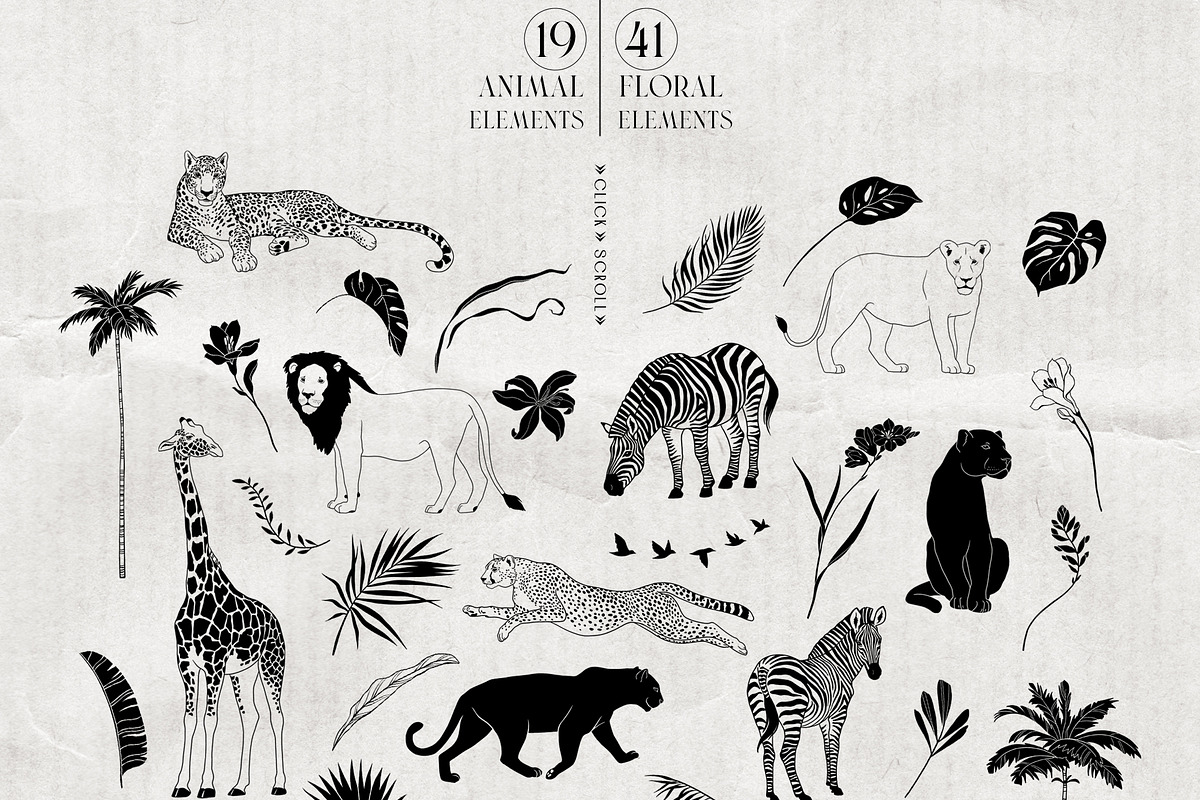 EXOTIC Graphics and animated stories, an Animal Illustration by Anastezia Luneva (Photo 2 of 11)