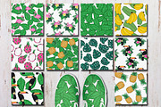 Tropics Forever! Vector set, an Animal Illustration by CallMeStasia (Thumbnail 3 of 7)