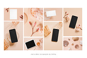 Coral Stock Photo & Mockup Bundle, a Product Mockup by Moyo Studio (Thumbnail 4 of 12)