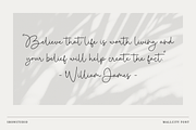 Mallcity - Monoline Script, a Script Font by Sronstudio (Thumbnail 4 of 14)