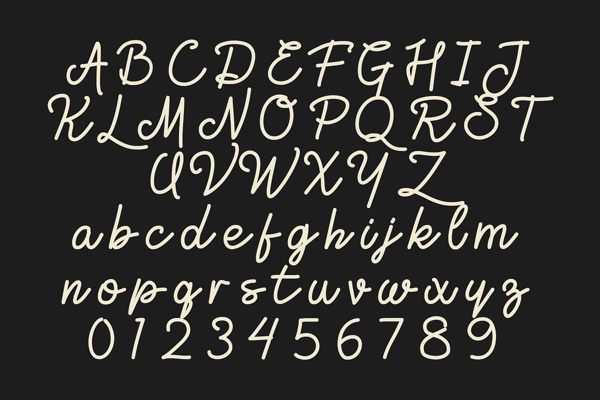 Zolfiq Monoline Smooth & Cool Script, a Script Font by Lettertype Studio (Photo 7 of 8)