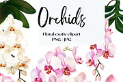 Orchids flower pattern and elements, a Decorative Illustration by irina.vaneeva (Thumbnail 1 of 6)