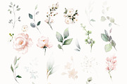 Pink watercolor flowers & herbs, an Illustration by Lisima (Thumbnail 8 of 11)