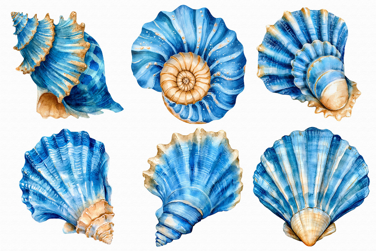 Watercolor Seashell Clipart, an Illustration by Libby Wishes (Photo 3 of 5)