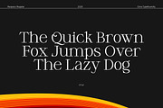 Respace, a Serif Font by Dora Typefoundry (Thumbnail 14 of 21)