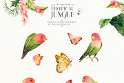 Tropical jungle - watercolor set, a Decorative Illustration by Pamyatka Shop (Thumbnail 25 of 27)