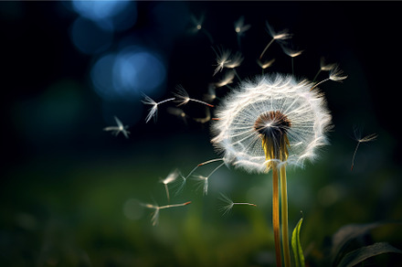 Bright Dandelion plant. Generate Ai, a Nature Photo by Ylivdesign