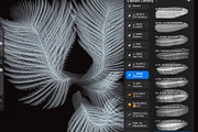 Plumage Atelier. Procreate Brushes, a Brush Add-On by Eldar Zakirov's (Thumbnail 23 of 25)