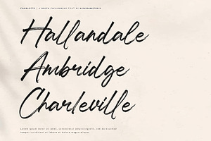 Charlotte - Brush Calligraphy Font