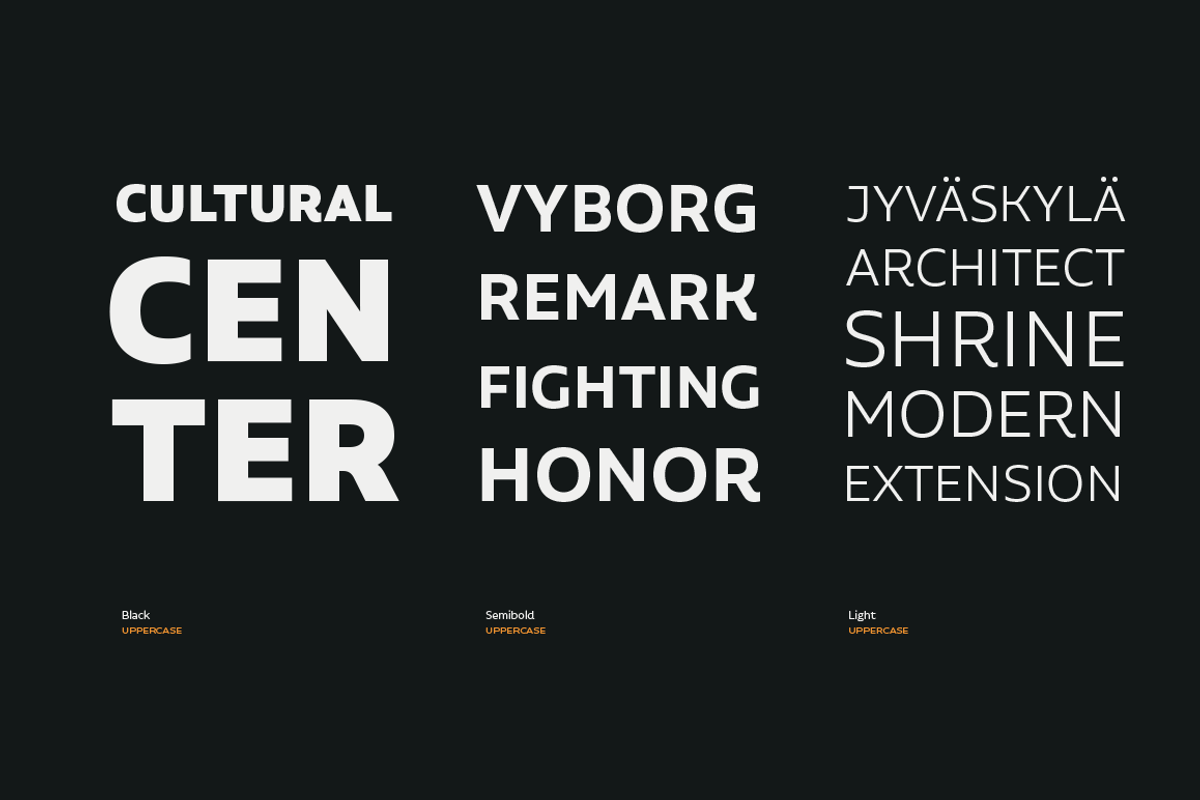 Aalto Sans, a Sans Serif Font by Los Andes Type (Photo 3 of 19)