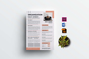 Nonprofit Organization Fact Sheet, a Flyer Template by design_hut (Thumbnail 1 of 3)