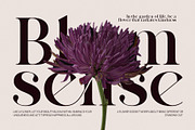 Rastings Macker Ligature Serif Font, a Serif Font by Graphicxell (Thumbnail 3 of 10)