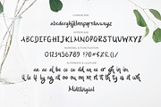 Siyuki Brush Script, a Script Font by Fikry Alfatih (Thumbnail 7 of 9)