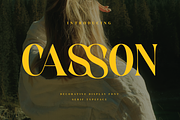 Casson - Display Serif Font, a Serif Font by Aqeel_Art (Thumbnail 1 of 9)