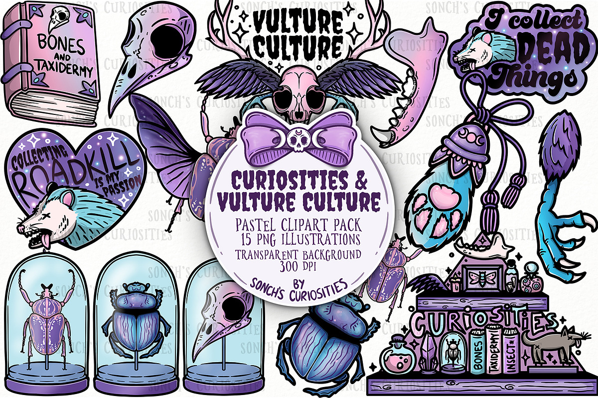 Pastel Goth Curiosities oddities, an Object Illustration by Sonch' s Curiosities (Photo 1 of 3)
