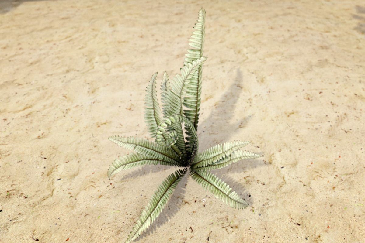 Plants Grass and Trees Pack, an Object 3D Model by RivermillStudios (Photo 3 of 5)