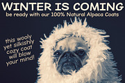 Dear Sans Family, a Sans Serif Font by Stiggy & Sands (Thumbnail 4 of 5)